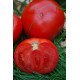 Насіння томату Прима F1 /1 грам/ *Tezier*