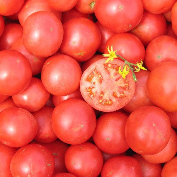 Семена томата Тарпан F1 /1.000 семян/ *Nunhems Zaden*