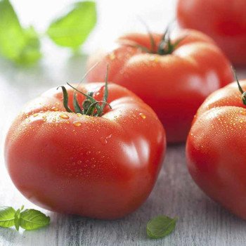 Томат Уракан F1 /1.000 насінин/ *United Genetics*