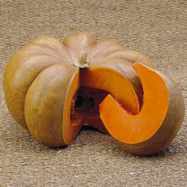 Семена тыквы Мускат де Прованс /0,5 кг семян/ *Tezier*