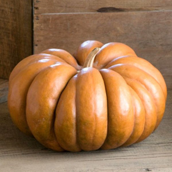 Семена тыквы Мускат де Прованс /0,5 кг семян/ *Anseme*