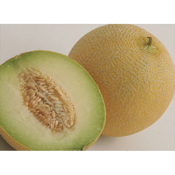 Семена дыни Воллер F1 /1.000 семян/ *Nunhems Zaden*