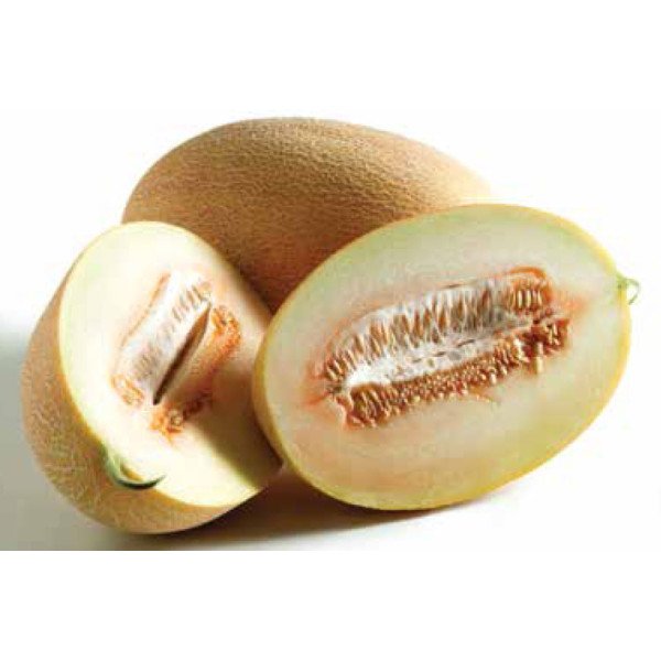 Насіння дині Соккар F1 /1.000 насінин/ *Nunhems Zaden*