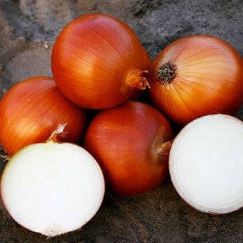 Лук Валеро F1 /100.000 семян/ *Nunhems Zaden*