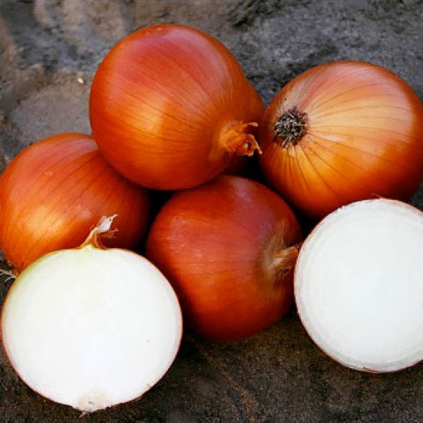 Насіння цибулі Валеро F1 /100.000 насінин/ *Nunhems Zaden*