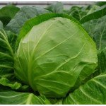 Капуста белокочанная Свирель F1 /2.500 семян/ *Nunhems Zaden*