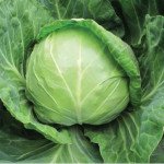 Капуста белокочанная Анадоль F1 /2.500 семян/ *Nunhems Zaden*