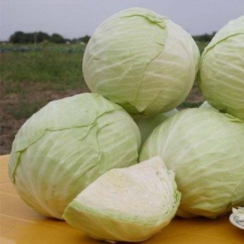 Капуста белокочанная Акварель F1 /2.500 семян/ *Nunhems Zaden*