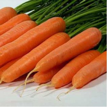 Морковь Лагуна F1 /25.000 семян (1,6-1,8)/ *Nunhems Zaden*