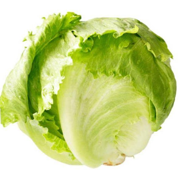 Насіння салату Гондар /5.000 насінин драже/ *Nunhems Zaden*