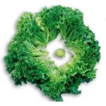 Салат Мульті /5.000 насінин драже/ *Nunhems Zaden*