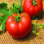 Томат Нейрон F1 /500 насінин/ *Nunhems Zaden*