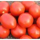 Семена томата Ред Скай F1 /5.000 семян/ *Nunhems Zaden*