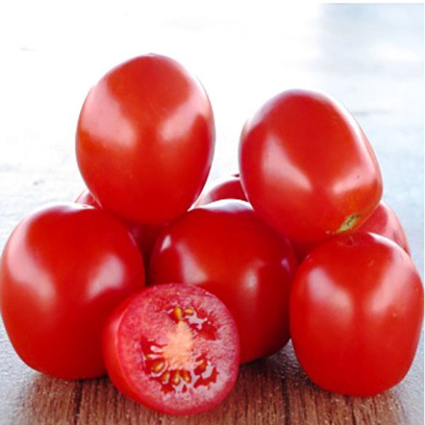 Семена томата Лампо F1 /25.000 семян/ *Nunhems Zaden*