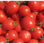 Томат Солероссо F1 /25.000 семян драже/ *Nunhems Zaden*
