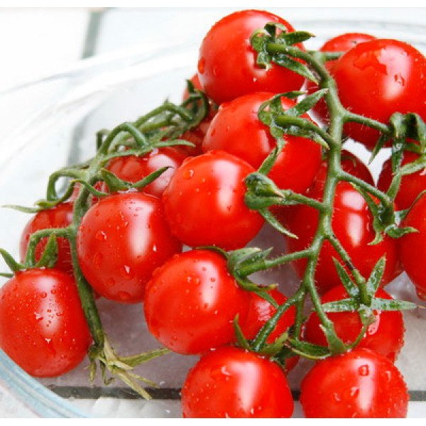 Насіння томату Сомма F1 /5.000 насінин/ *Nunhems Zaden*