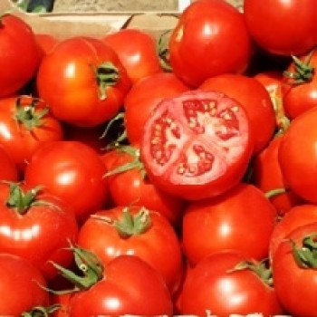 Томат Отранто F1 /1.000 семян/ *Nunhems Zaden*