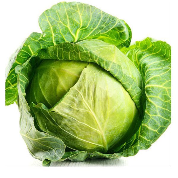 Насіння капусти білокачанної Кебтон F1 /2.500 насінин/ *Bejo Zaden*