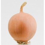 Цибуля Песо F1 /250.000 насінин/ *Bejo Zaden*