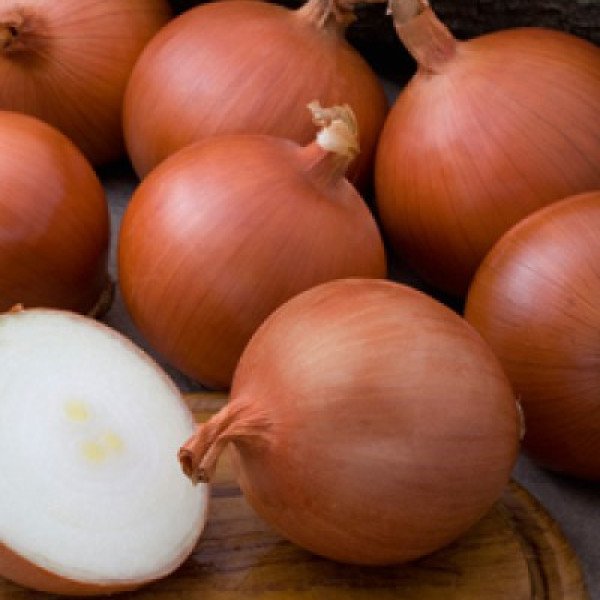 Семена лука Мелори F1 /250.000 семян normal seeds/ *Bejo Zaden*