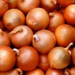 Цибуля Манас F1 /250.000 насінин precision seeds/ *Bejo Zaden*