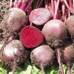 Свекла Боро F1 /50.000 семян/ *Bejo Zaden*