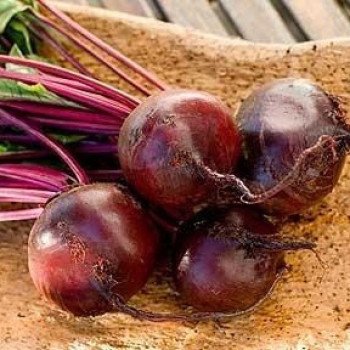 Свекла Ронда F1 /50.000 семян/ *Bejo Zaden*