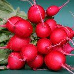 Редис Ровер F1 /5.000 семян (2,50-2,75 мм)/ *Bejo Zaden*