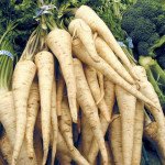 Петрушка корневая Арат /500 грамм/ *Bejo Zaden*