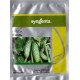 Семена огурца Эколь F1 /500 семян/ *Syngenta*