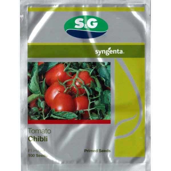 Насіння томату Чіблі F1 /100 насінин/ *Syngenta*