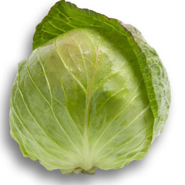 Насіння капусти білоголової Рейма F1 /1.000 насінин калібр/ *Rijk Zwaan*