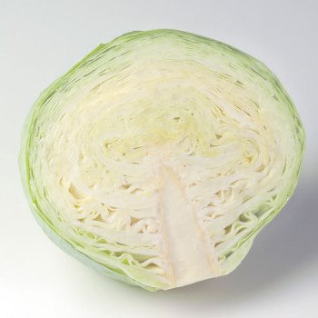 Капуста белокочанная Толсма F1 /1.000 семян калибр/ *Rijk Zwaan*