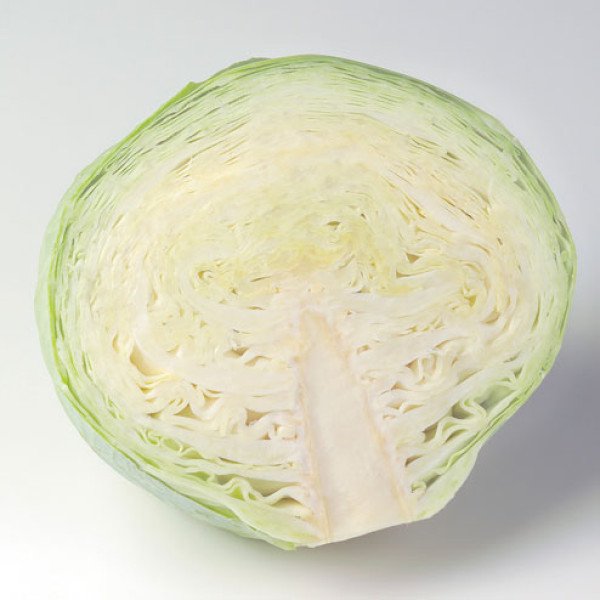 Насіння капусти білоголової Толсма F1 /1.000 насінин калібр/ *Rijk Zwaan*