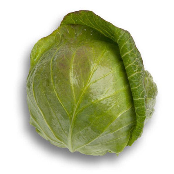 Насіння капусти білоголової Селма F1 /1.000 насінин/ *Rijk Zwaan*