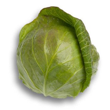 Капуста белокочанная Селма F1 /2.500 семян калибр/ *Rijk Zwaan*