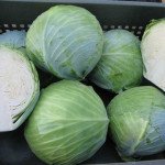 Капуста белокочанная Сторема F1 /1.000 семян/ *Rijk Zwaan*