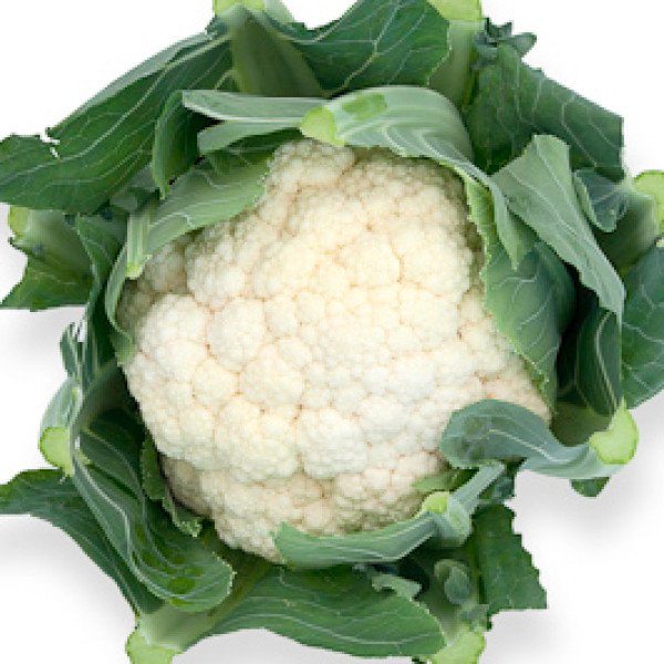 Насіння капусти цвітної Стабіліс F1 /2.500 насінин/ *Rijk Zwaan*