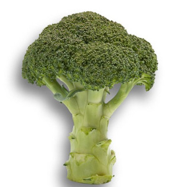 Семена капусты брокколи Агасси F1 /1.000 семян калибр/ *Rijk Zwaan*