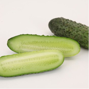 Огурец Вагнер F1 /1.000 семян/ *Rijk Zwaan*