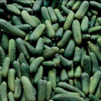 Огурец Дерегент F1 /250 семян/ *Rijk Zwaan*