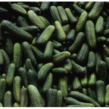 Огурец Дерегент F1 /1.000 семян/ *Rijk Zwaan*