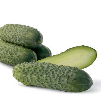 Огурец Гайдн F1 /250 семян/ *Rijk Zwaan*