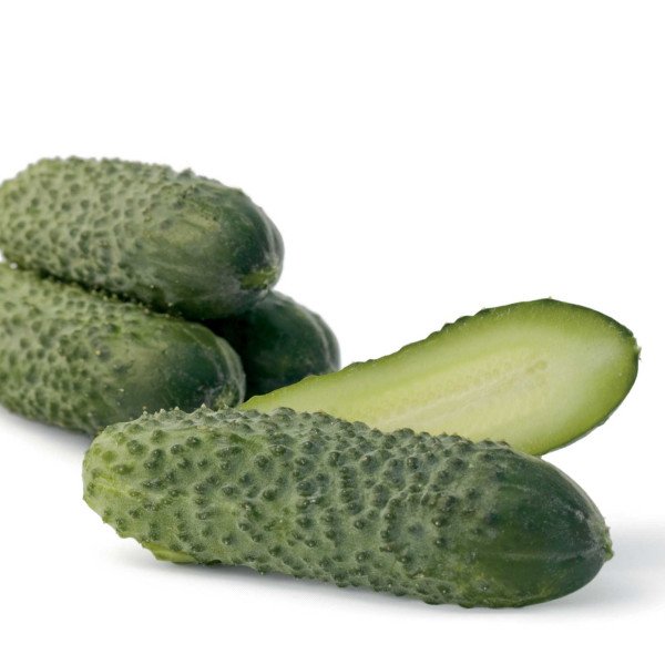 Семена огурца Гайдн F1 /250 семян/ *Rijk Zwaan*