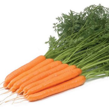 Морковь Рига F1 /100.000 семян/ *Rijk Zwaan*