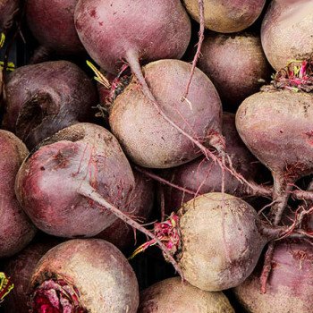 Свекла Акела /500.000 семян/ *Rijk Zwaan*