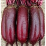 Буряк Карілон /100.000 насінин/ *Rijk Zwaan*