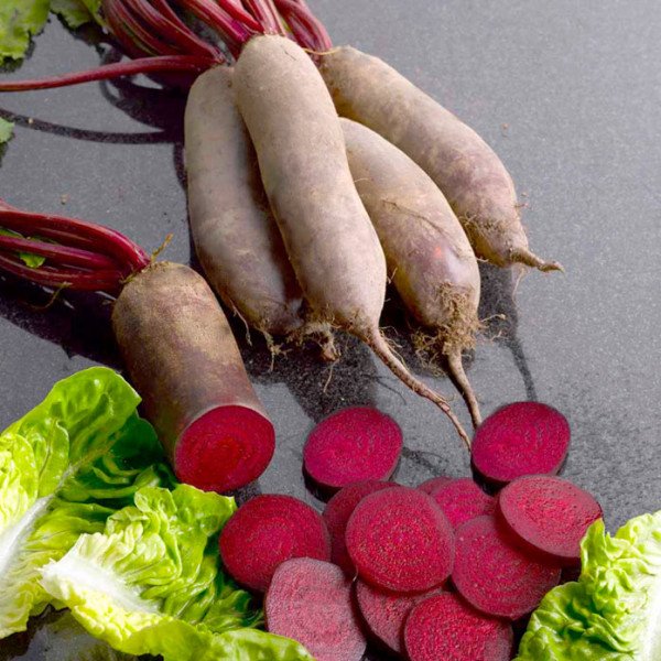 Насіння буряка Лома /500.000 насінин/ *Rijk Zwaan*