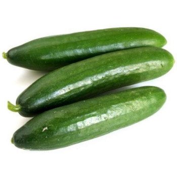Огурец Мева F1 /100 семян/ *Rijk Zwaan*