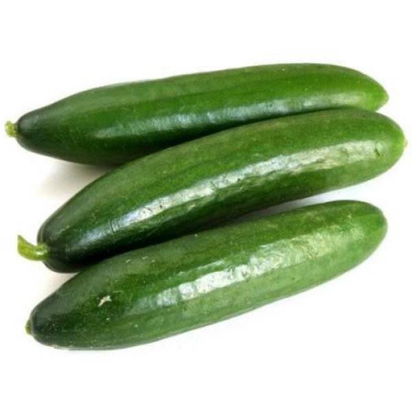 Семена огурца Мева F1 /100 семян/ *Rijk Zwaan*